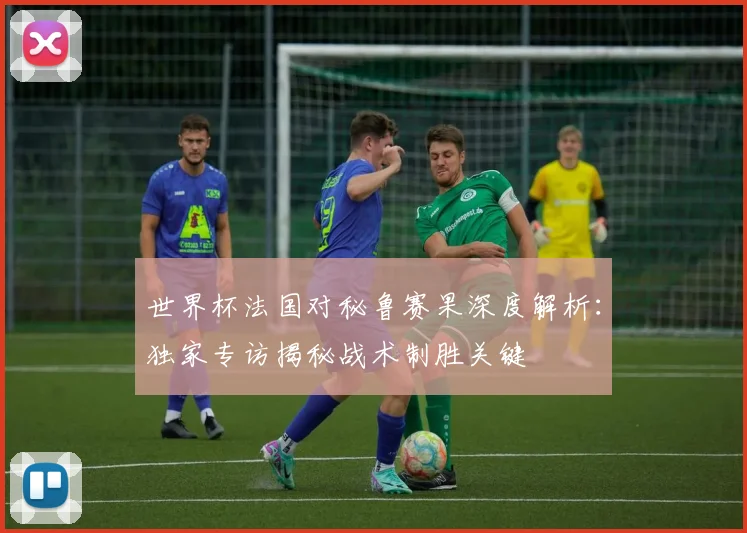 世界杯法国对秘鲁赛果深度解析:独家专访揭秘战术制胜关键
