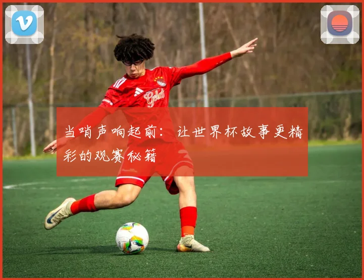 当哨声响起前：让世界杯故事更精彩的观赛秘籍