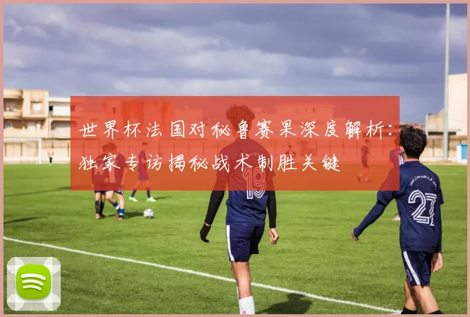 世界杯法国对秘鲁赛果深度解析:独家专访揭秘战术制胜关键