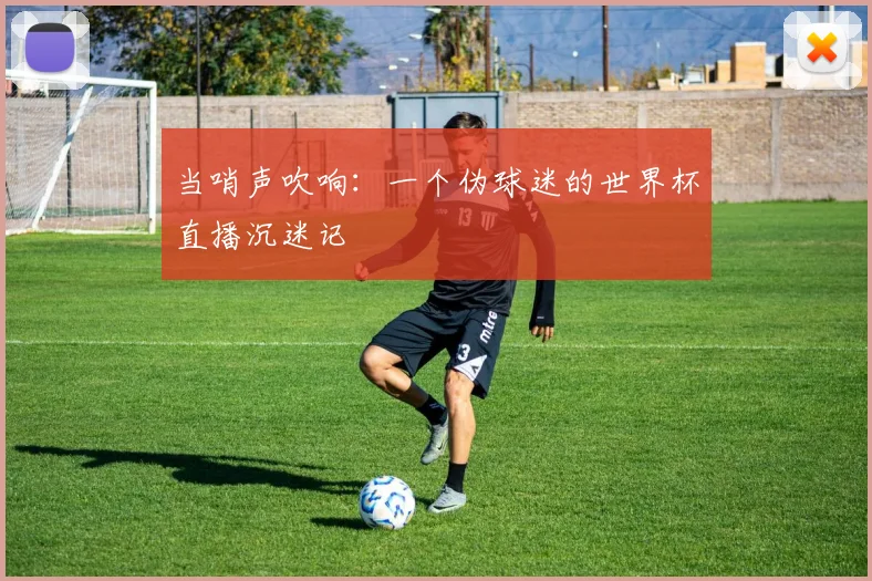 当哨声吹响：一个伪球迷的世界杯直播沉迷记
