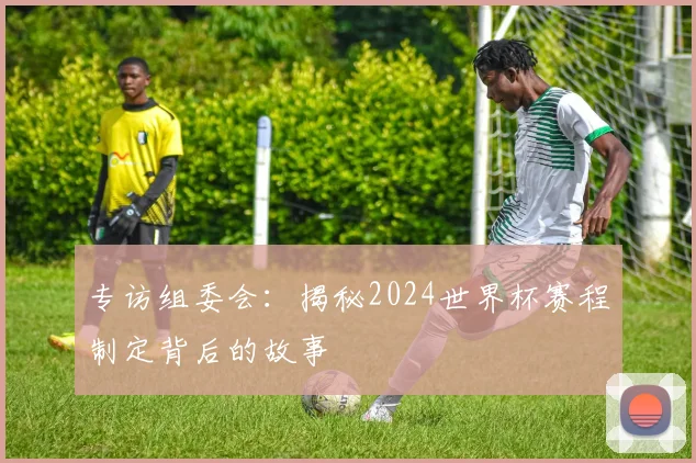 专访组委会：揭秘2024世界杯赛程制定背后的故事