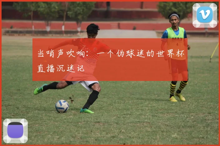 当哨声吹响:一个伪球迷的世界杯直播沉迷记