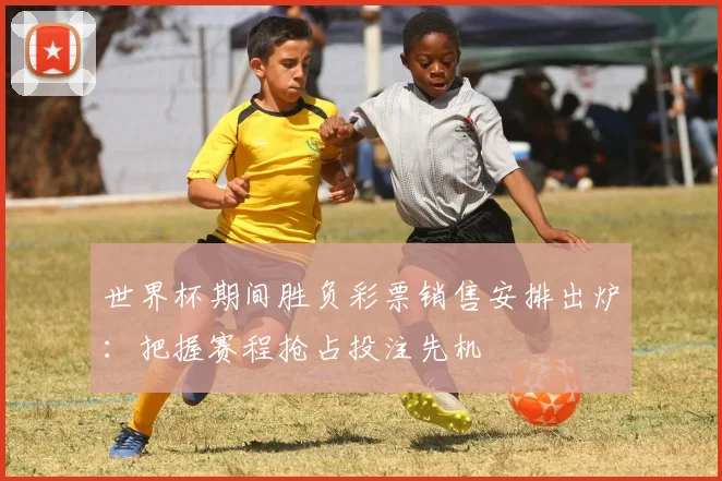 世界杯期间胜负彩票销售安排出炉：把握赛程抢占投注先机