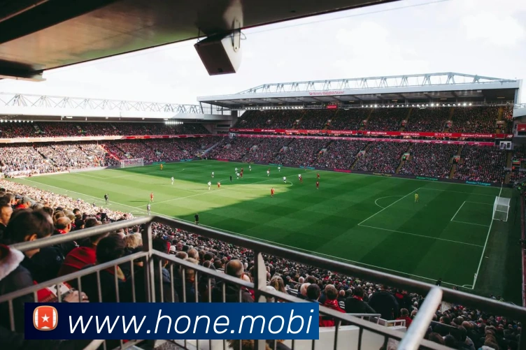 App Interface Preview